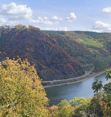 05092026OberweselStGoar063