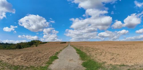 05092026OberweselStGoar069