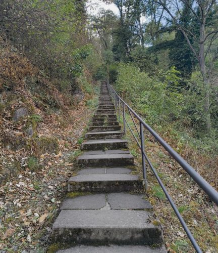 05092026OberweselStGoar082