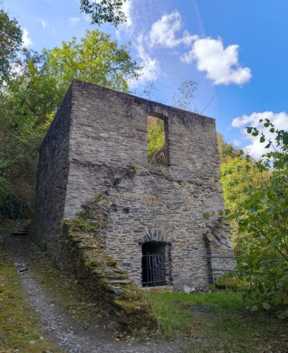 05092026OberweselStGoar085