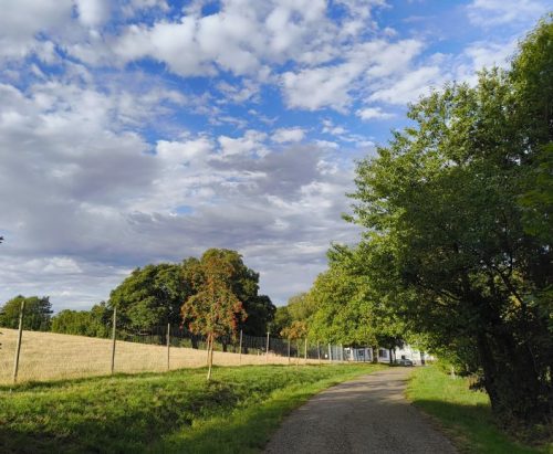07092026RemsteckenStolzenfels002