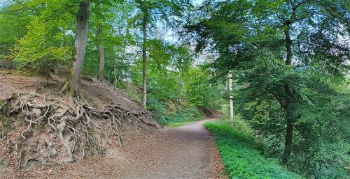 07092026RemsteckenStolzenfels016