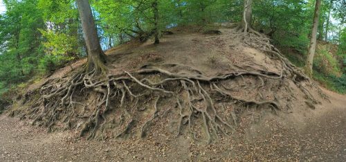 07092026RemsteckenStolzenfels017