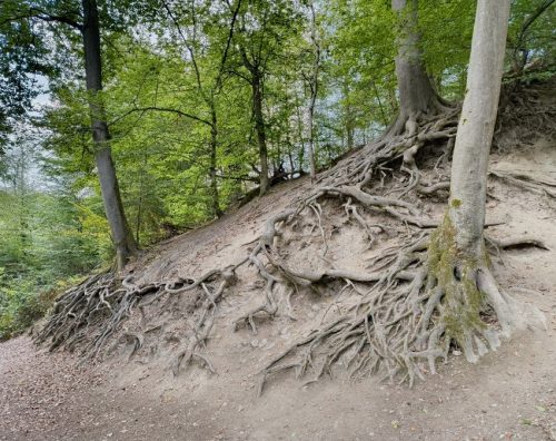07092026RemsteckenStolzenfels018