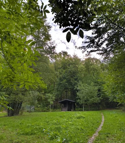 07092026RemsteckenStolzenfels028