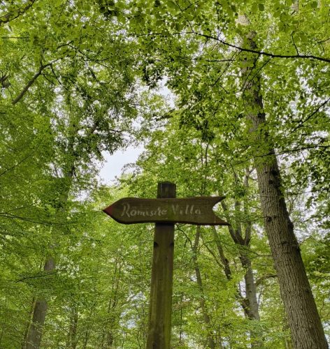 07092026RemsteckenStolzenfels029