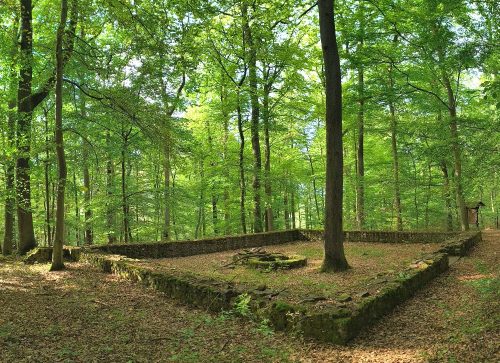 07092026RemsteckenStolzenfels033