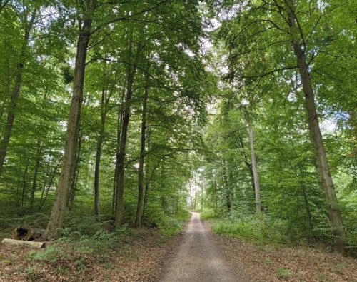 07092026RemsteckenStolzenfels034
