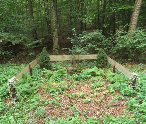 07092026RemsteckenStolzenfels036