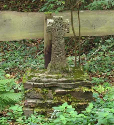 07092026RemsteckenStolzenfels037