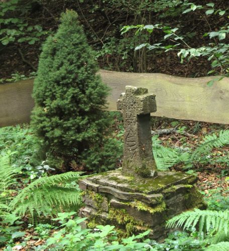 07092026RemsteckenStolzenfels038