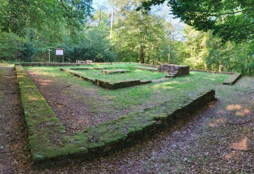 07092026RemsteckenStolzenfels044