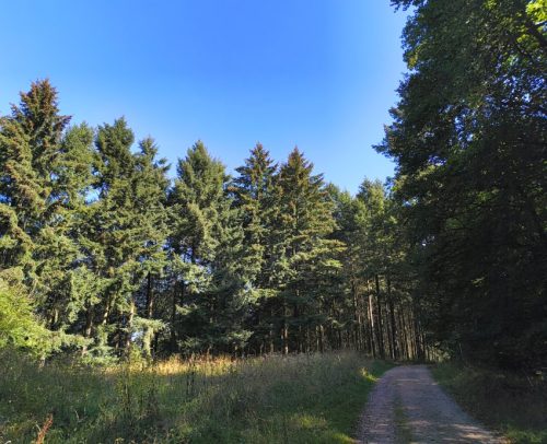 07092026RemsteckenStolzenfels045