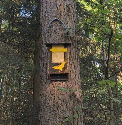 07092026RemsteckenStolzenfels047