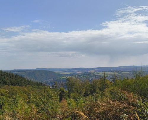 07092026RemsteckenStolzenfels048
