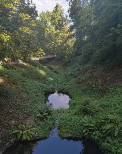 07092026RemsteckenStolzenfels068