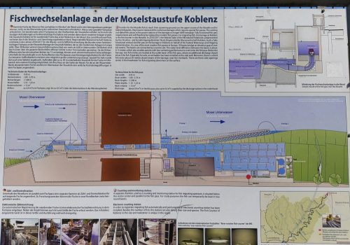 10092026TagKoblenzundFestung060