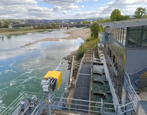 10092026TagKoblenzundFestung064