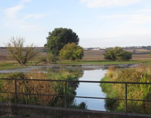 11092026ThuererWiesenLaacherSee014