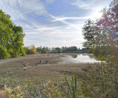 11092026ThuererWiesenLaacherSee022