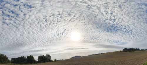 11092026ThuererWiesenLaacherSee024
