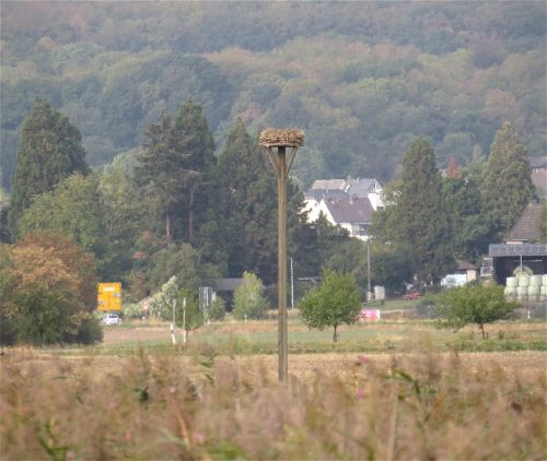 11092026ThuererWiesenLaacherSee025
