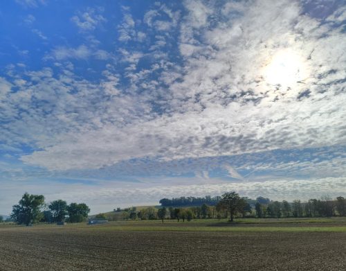 11092026ThuererWiesenLaacherSee041