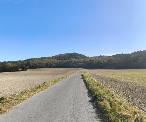 11092026ThuererWiesenLaacherSee046