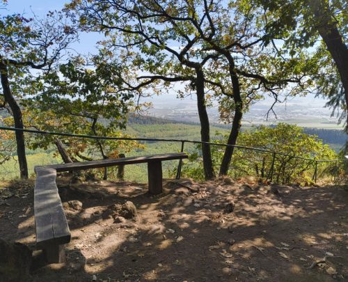 11092026ThuererWiesenLaacherSee050