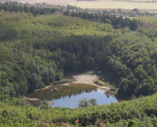 11092026ThuererWiesenLaacherSee052