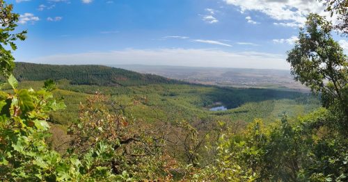 11092026ThuererWiesenLaacherSee054