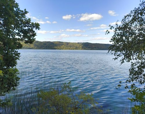 11092026ThuererWiesenLaacherSee064