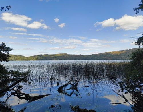 11092026ThuererWiesenLaacherSee065
