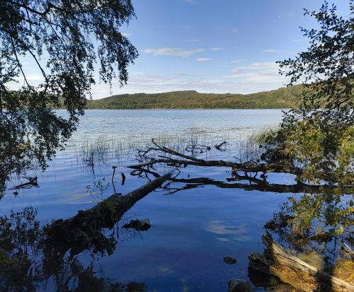 11092026ThuererWiesenLaacherSee070