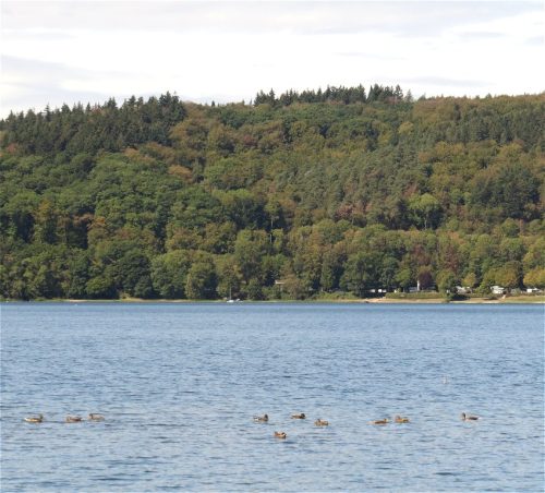 11092026ThuererWiesenLaacherSee071