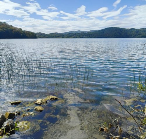 11092026ThuererWiesenLaacherSee075