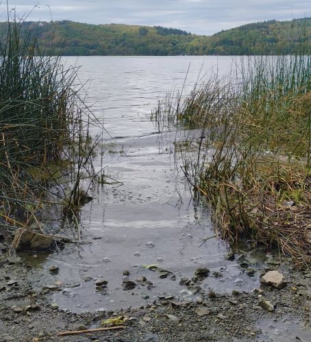 11092026ThuererWiesenLaacherSee076