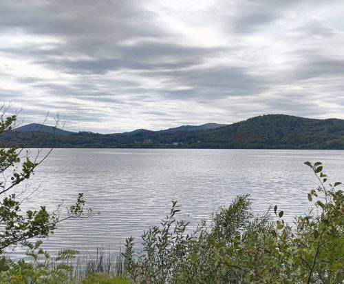 11092026ThuererWiesenLaacherSee080