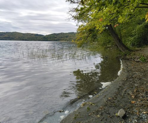 11092026ThuererWiesenLaacherSee081