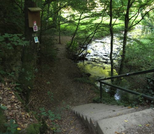 12082025Ehrbachklamm-005