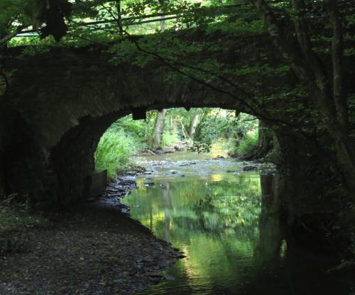 12082025Ehrbachklamm-007