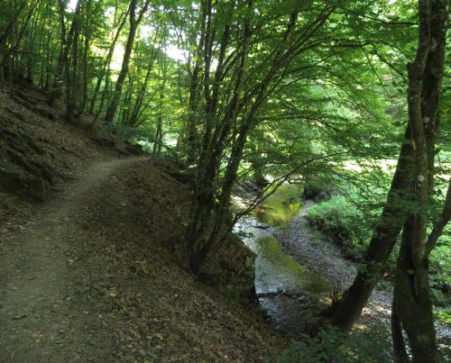 12082025Ehrbachklamm-008