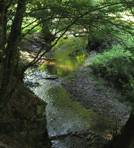 12082025Ehrbachklamm-009