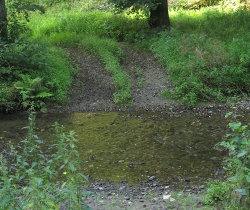 12082025Ehrbachklamm-010