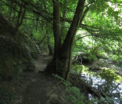 12082025Ehrbachklamm-013