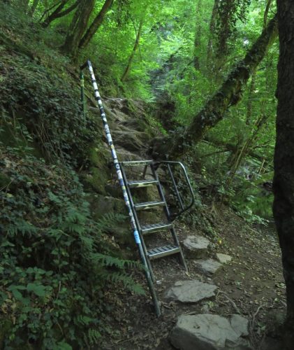 12082025Ehrbachklamm-014