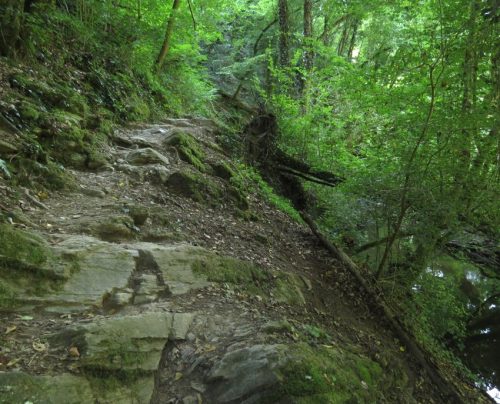 12082025Ehrbachklamm-015