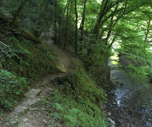 12082025Ehrbachklamm-016