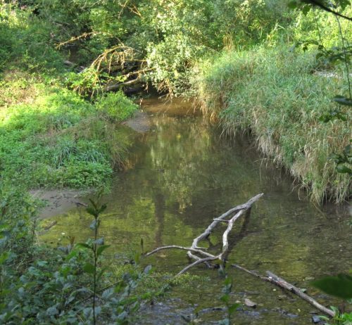 12082025Ehrbachklamm-017