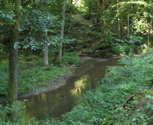 12082025Ehrbachklamm-019